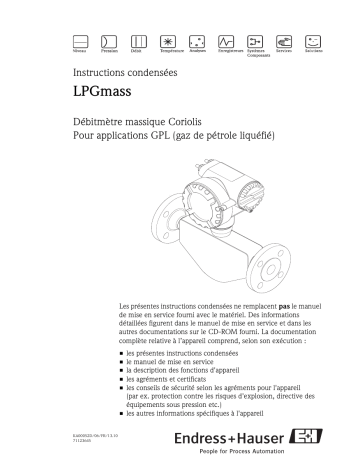 Endres+Hauser LPGmass Brief Manuel utilisateur | Fixfr