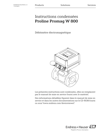 Endres+Hauser Proline Promag W 800 Brief Manuel utilisateur | Fixfr