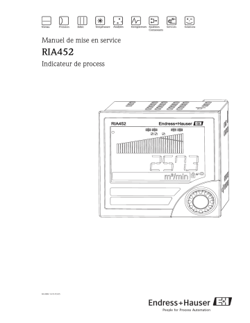 Endres+Hauser process display RIA452 Mode d'emploi | Fixfr