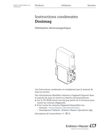 Endres+Hauser Dosimag Brief Manuel utilisateur | Fixfr