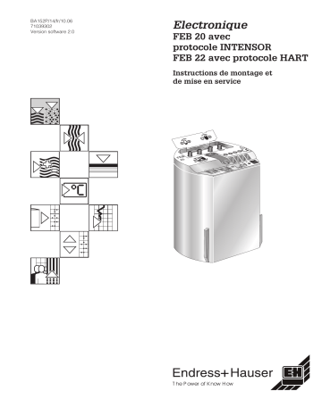 Endres+Hauser Electronic insert FEB 20 FEB 22 Mode d'emploi | Fixfr