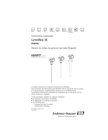Endres+Hauser Levelflex M FMP40 HART Brief Manuel utilisateur | Fixfr