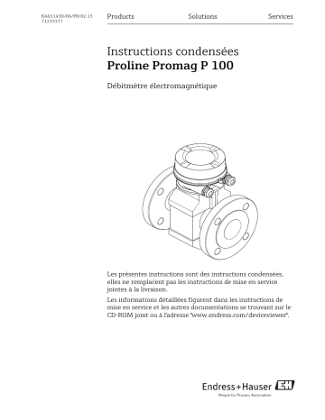 Endres+Hauser Proline Promag P 100 Brief Manuel utilisateur | Fixfr