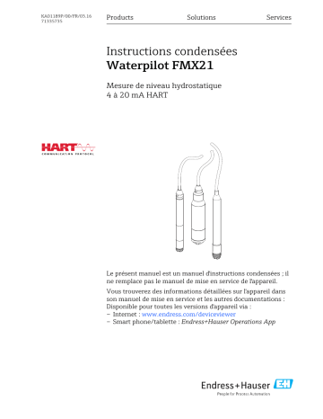 Endres+Hauser Waterpilot FMX21 Brief Manuel utilisateur | Fixfr