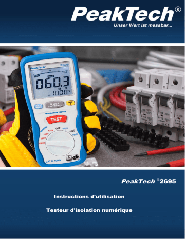 PeakTech P 2695 Insulation tester 125/250/500/1000 V /4000 MΩ Manuel du propriétaire | Fixfr