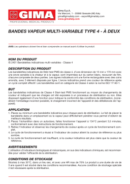 Gima 35954 CLASS 4 MULTI-VARIABLE STEAM STRIPS - dual Manuel du propriétaire