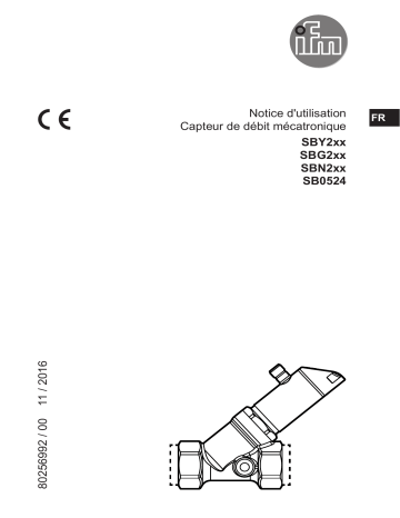 SBY234 | SBG246 | SBG234 | SBY233 | SBN257 | SBG232 | SBG233 | SBY232 | SBN233 | SBN232 | IFM SBY246 Flow meter Mode d'emploi | Fixfr