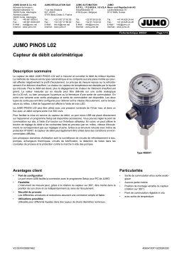 JUMO 406041 Calorimetric Flow Sensor Fiche technique