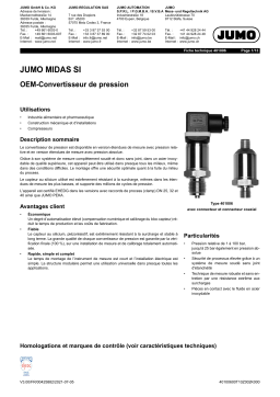 JUMO 401006 OEM Pressure Transmitter Fiche technique