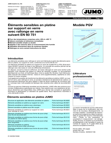 JUMO 906024 Platinum-glass temperature sensor Fiche technique | Fixfr