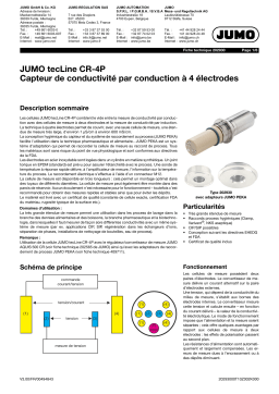 JUMO 202930 Conductive Four-Electrode Conductivity Sensor Fiche technique