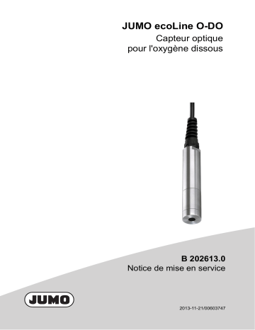 JUMO 202613 ecoLine O-DO − Optical Sensor Mode d'emploi | Fixfr