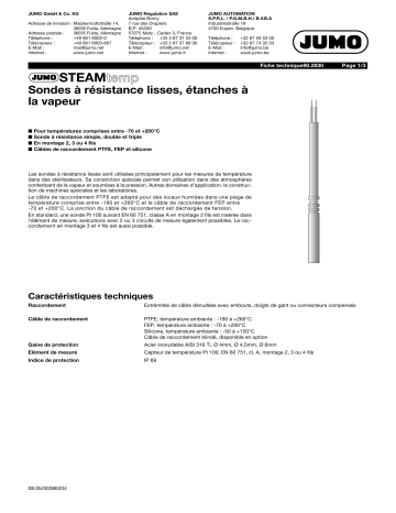 JUMO 902830 STEAMtemp Push-In RTD Temperature Probe Fiche technique | Fixfr