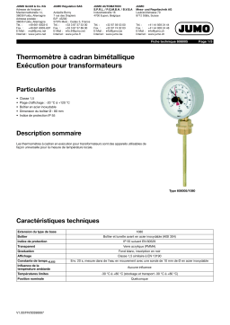 JUMO 608005 Transformer Version Fiche technique