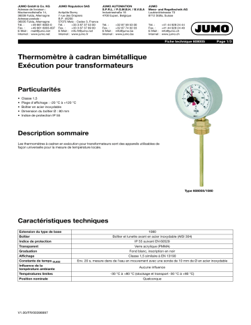JUMO 608005 Transformer Version Fiche technique | Fixfr