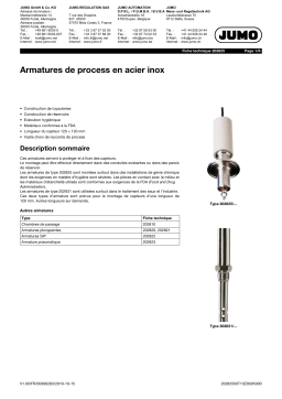 JUMO 202825 Stainless Steel Process Fitting Fiche technique