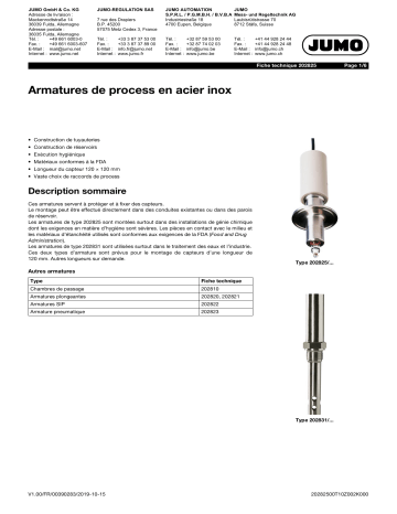 JUMO 202825 Stainless Steel Process Fitting Fiche technique | Fixfr