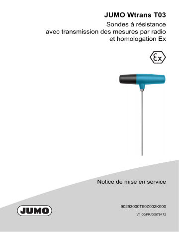 JUMO Wtrans T Probe Mode d'emploi | Fixfr