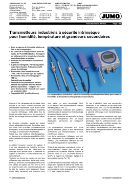 JUMO 907025 Intrinsically Safe Industrial Measuring Probe Fiche technique