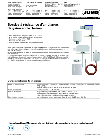 JUMO 902520 Indoor and Outdoor RTD Temperature Probe Fiche technique | Fixfr