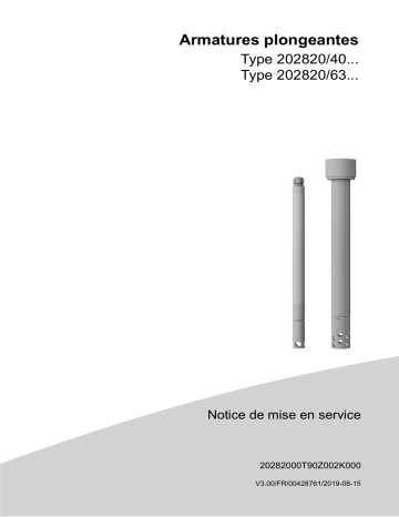 JUMO 202820 Immersion Fitting Mode d'emploi | Fixfr