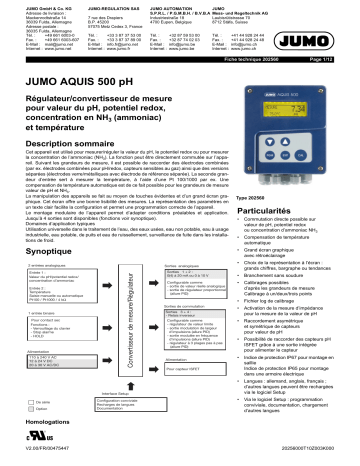 JUMO 202560 Transmitter/Controller Fiche technique | Fixfr