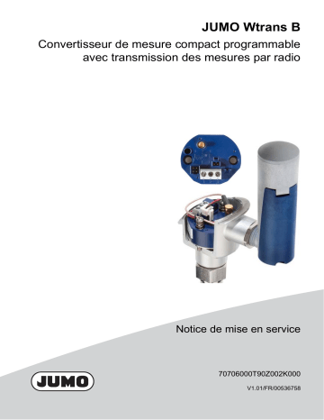 JUMO Wtrans B Programmable Head Transmitter Mode d'emploi | Fixfr