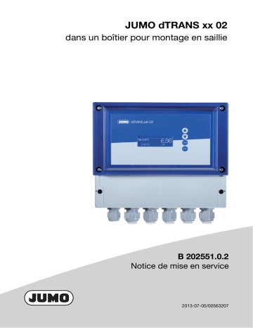 202551 | 202553 | JUMO 202552 Compact Multichannel Transmitter/Controller Mode d'emploi | Fixfr