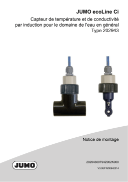 JUMO 202943 Inductive Conductivity and Temperature Sensor Guide d'installation