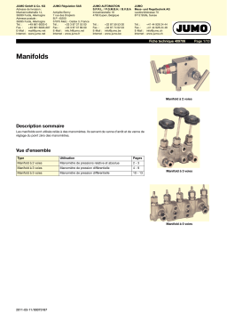 JUMO 409706 Manifold Fiche technique