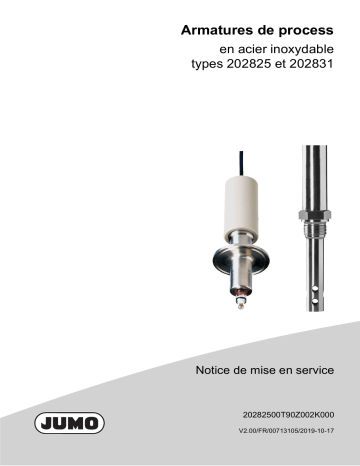 JUMO 202825 Stainless Steel Process Fitting Mode d'emploi | Fixfr