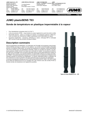 JUMO 904003 Steam-Tight Plastic Temperature Probe Fiche technique | Fixfr