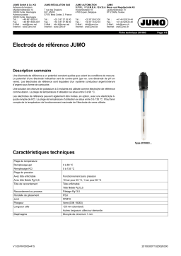 JUMO 201083 reference electrodes / diaphragm tube Fiche technique