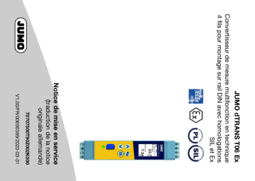 JUMO dTRANS T06 Ex Multifunctional Four-Wire Transmitter in Mounting Rail Case Mode d'emploi | Fixfr