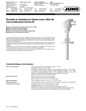 JUMO Push-in RTD Probe Fiche technique | Fixfr