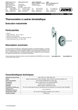 JUMO 608002 Industrial Version Fiche technique