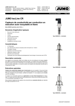 JUMO 202924 Conductive Two-Electrode Conductivity Sensor Fiche technique