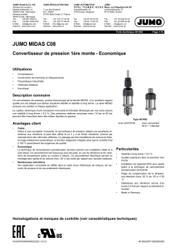 JUMO 401002 OEM Basic Pressure Transmitter Fiche technique