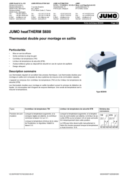 JUMO heatTHERM S600 Surface-Mounted Double Thermostat Fiche technique