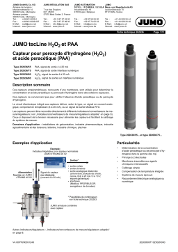 JUMO 202636 Sensor Fiche technique