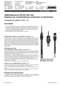 JUMO 202922 Conductive Two-Electrode Conductivity Sensor Fiche technique