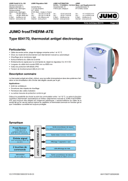 JUMO 604170 frostTHERM-ATE Fiche technique