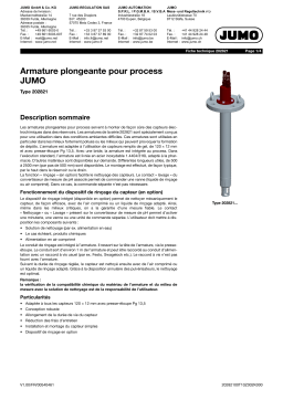 JUMO 202821 Process Immersion Fitting Fiche technique