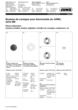 JUMO 606715 Setpoint Adjuster Fiche technique