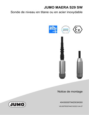 JUMO 404393 Level Probe out of Titanium Guide d'installation | Fixfr