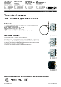 JUMO 602031 Panel-Mounted Thermostat Fiche technique