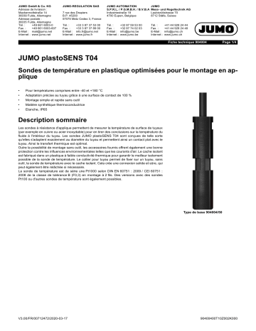 JUMO 904004 Surface-Optimized Plastic Temperature Probe Fiche technique | Fixfr