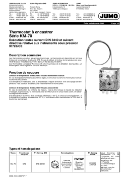 JUMO 602045 Panel-mounting thermostat Fiche technique