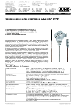 JUMO Mineral-Insulated RTD Probe Fiche technique