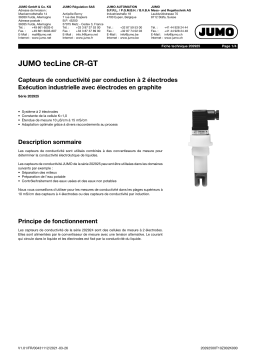 JUMO 202925 Conductive Two-Electrodes Conductivity Sensor Fiche technique